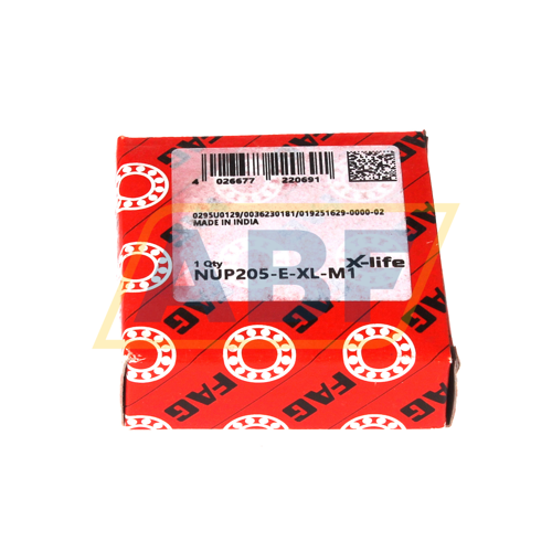 NUP205-E-XL-M1 FAG