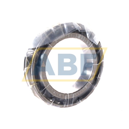 N1012-D-K-TVP-SP-XL FAG