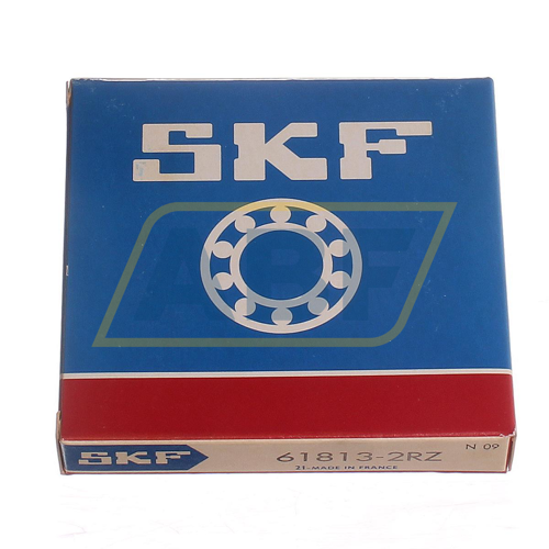 61813-2RZ SKF