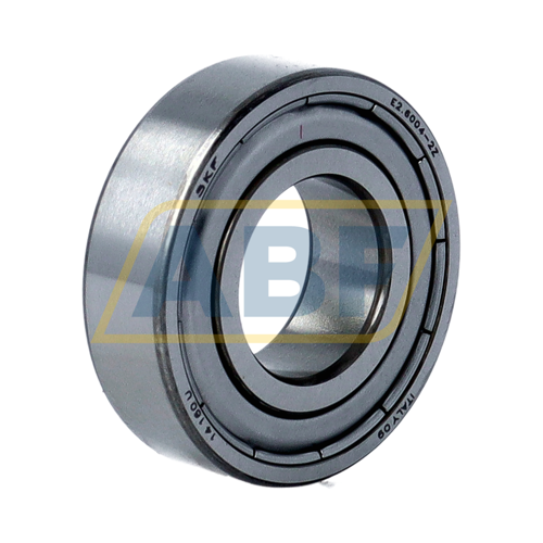 E2.6004-2Z SKF