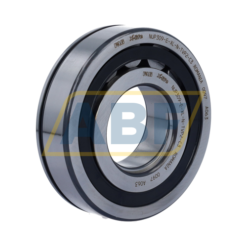 NUP309-E-XL-N-TVP2-C3 FAG