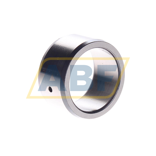 IR30X38X20-IS1-XL INA