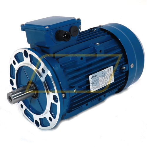 IE1-MSE100L1-4-B5R Cemp