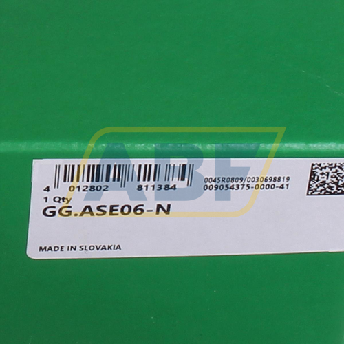GG.ASE06-N INA