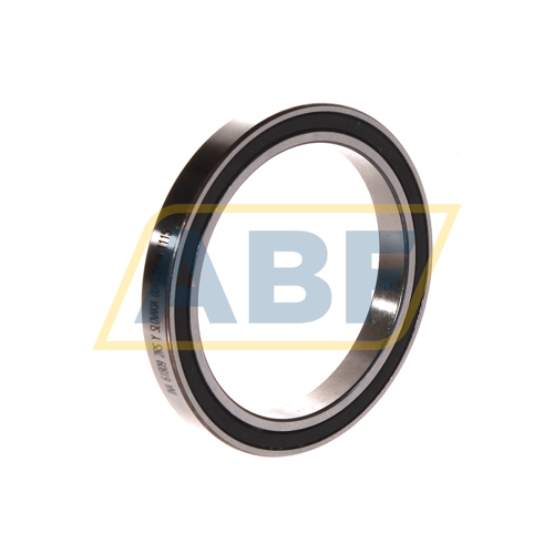 61809-2RS-Y INA