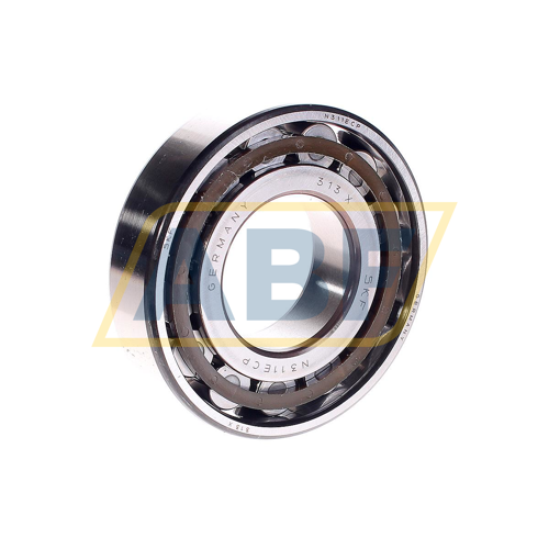 N311ECP SKF