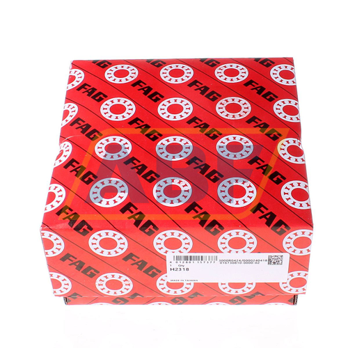H2318 FAG