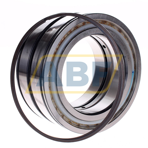 SL045022-D-PP-2WR INA