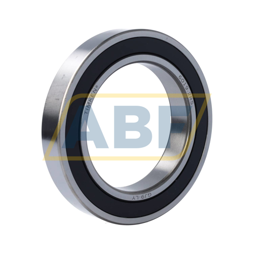 6019-2RS Timken