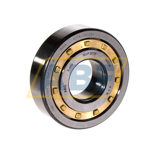 NUP305E.M1 FAG