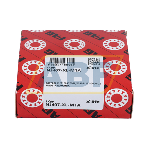NJ407-XL-M1A FAG