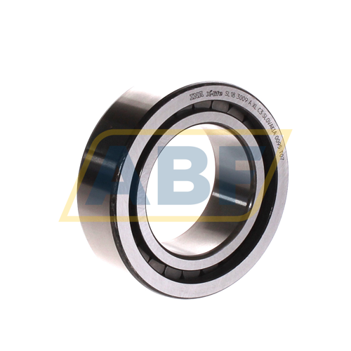 SL183009-A-XL-C3 INA