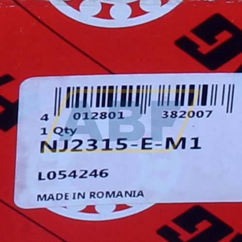 NJ2315-E-M1 FAG