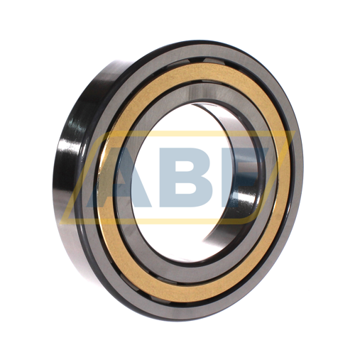 NUP219-E-XL-M1-C3 FAG