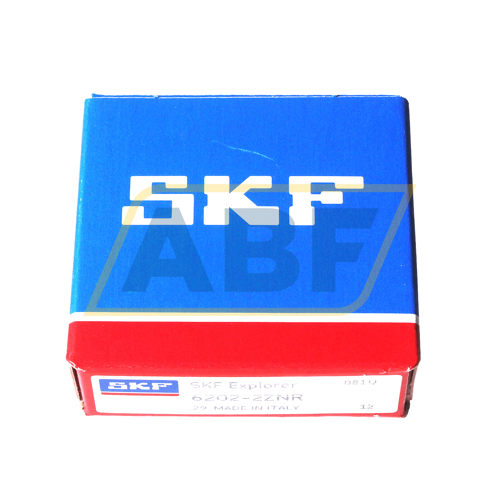 6202-2ZNR SKF