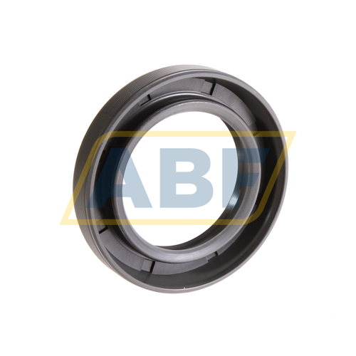 38X58X10HMSA10RG SKF