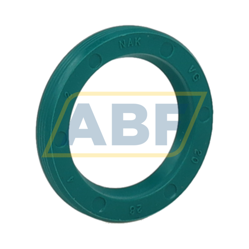 VG20X28X4 NAK Sealing Technologies