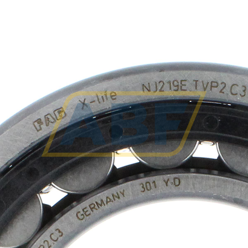 NJ219E.TVP2.C3 FAG