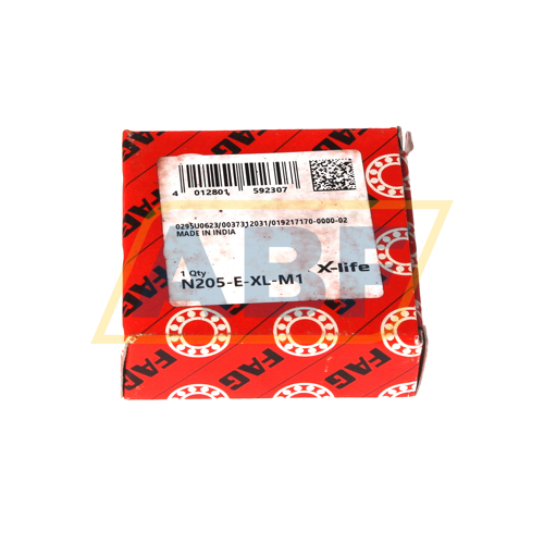 N205-E-XL-M1 FAG