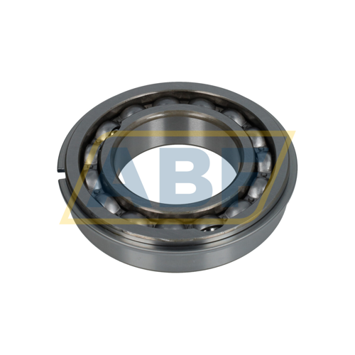 BL210NR NSK