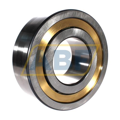 NJ2322-E-XL-M1A-QP51-C3 FAG