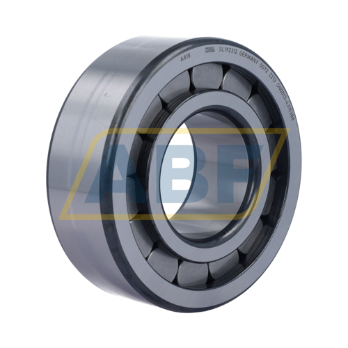 SL192312 INA