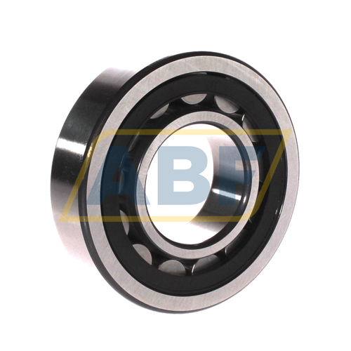 NU309-E-XL-TVP2-C4 FAG