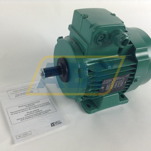 LS80L4P0,9B3 Leroy Somer