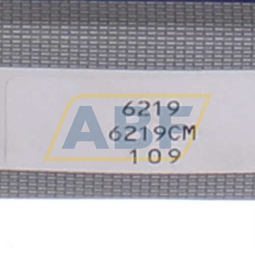 6219CM NSK