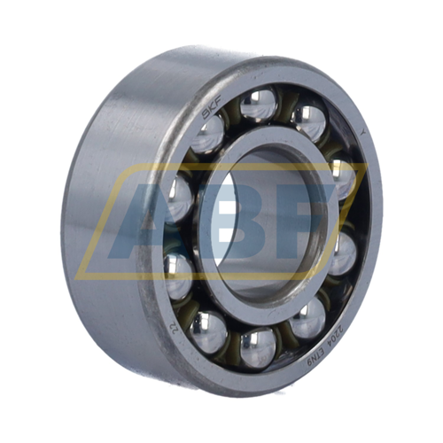 2204ETN9 SKF