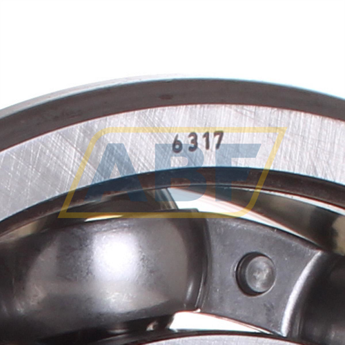 6317 SKF
