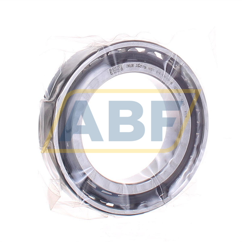 N1010-D-K-TVP-SP-XL FAG