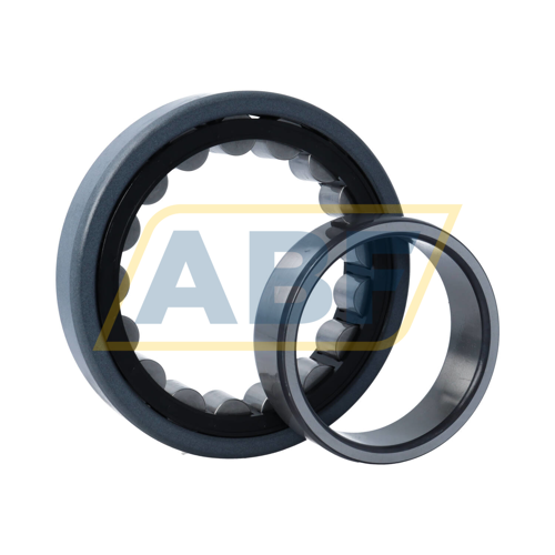 NU218-E-XL-TVP2-J20A-C3 FAG