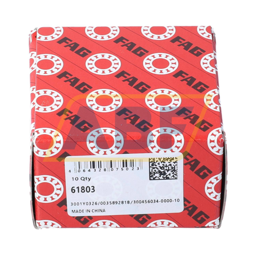 61803 FAG