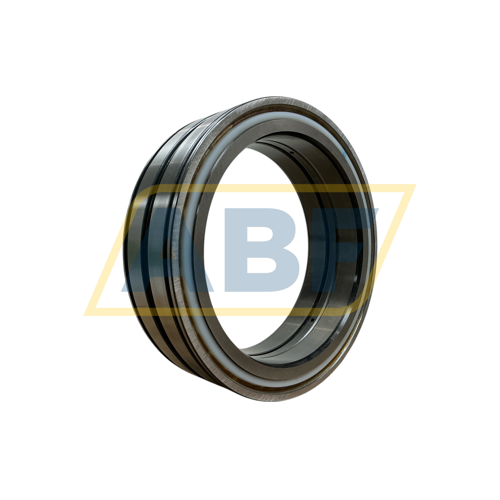 SL04260-D-PP-2NR INA