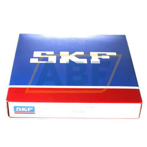 6024 SKF