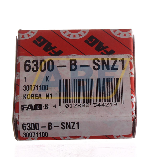 6300-B-SNZ1 FAG