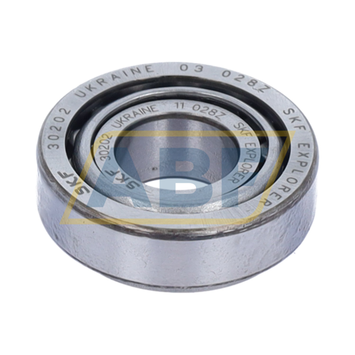 30202 SKF