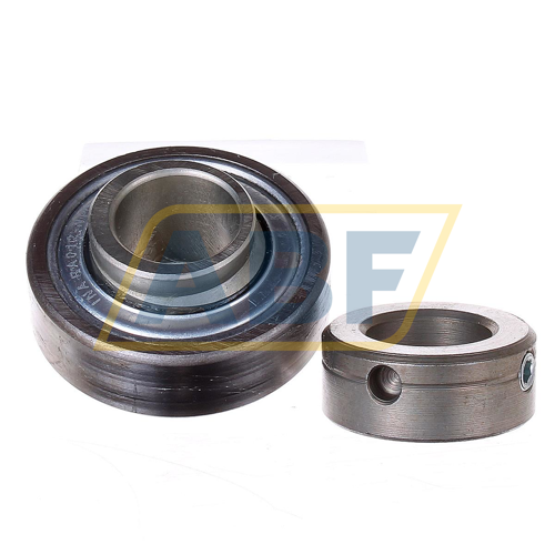 RAO12-NPP-FA106 INA