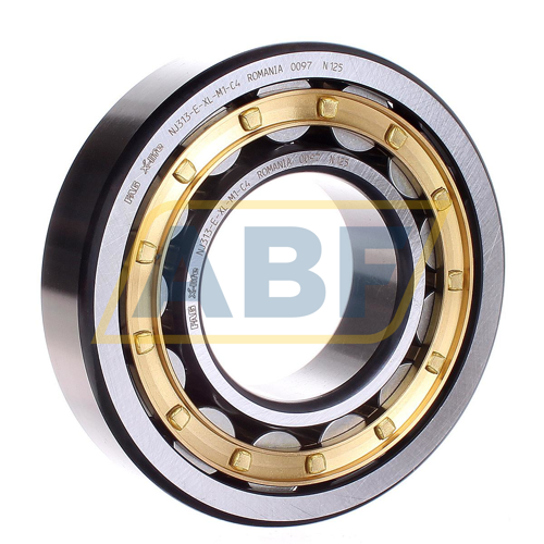 NJ313-E-XL-M1-C4 FAG