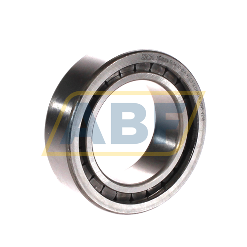 SL183010-A-XL-C3 INA