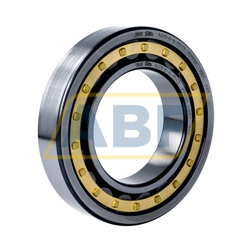 NJ215-E-XL-M1-C3 FAG