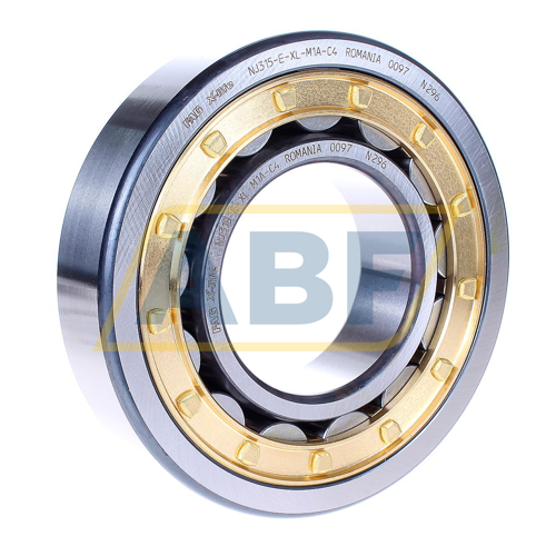 NJ315-E-XL-M1A-C4 FAG