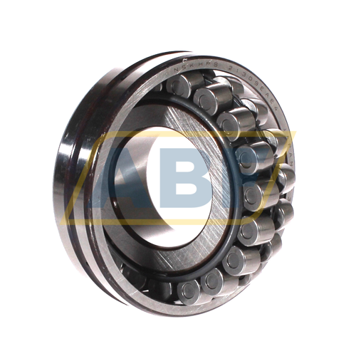 21309EA E4 NSK