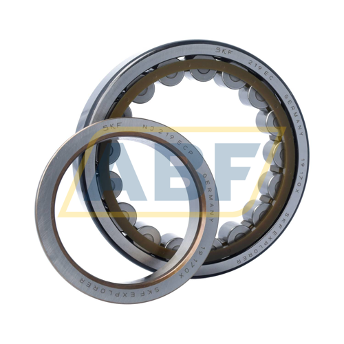 NJ219ECP SKF
