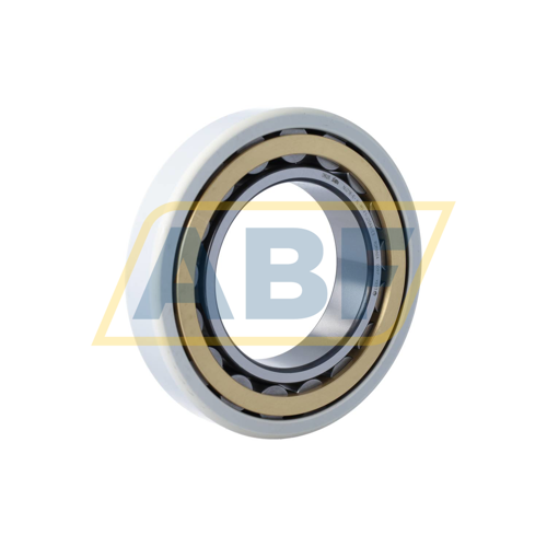 NU218-E-XL-M1-F1-J20AA-C3 FAG