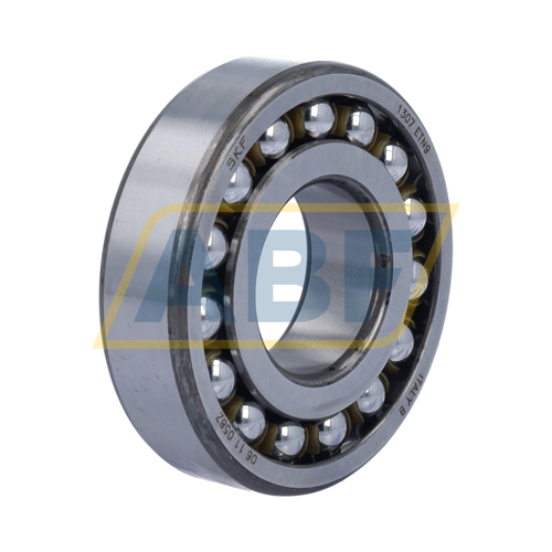 1307ETN9 SKF