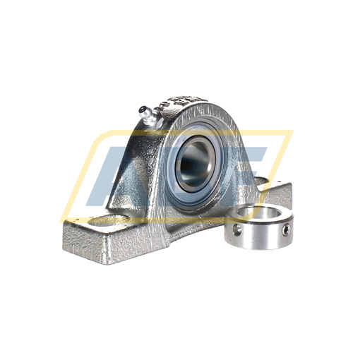 PASE20-N-FA125 INA