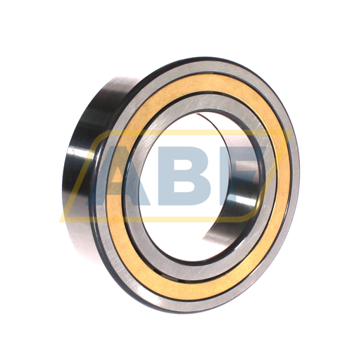 NUP2216-E-XL-M1A-C4 FAG