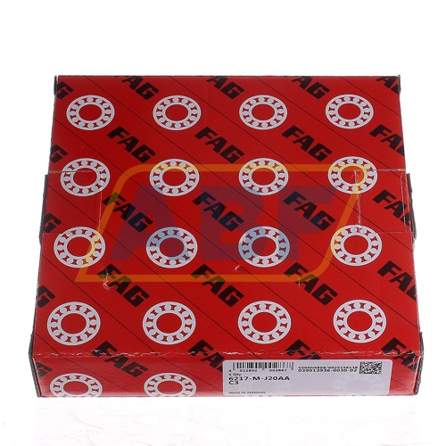 6217-M-J20AA-C3 FAG